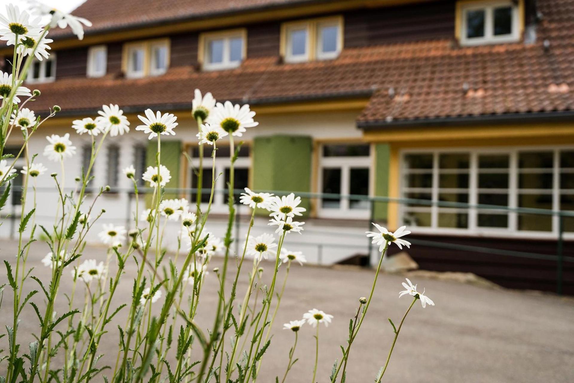 Pension Zum Hexenstieg Schierke Zewnętrze zdjęcie